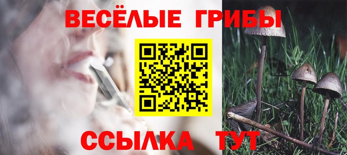 купить наркоту  Галлюциногенные грибы ЛСД  Вход с VPN  Прокопьевск 